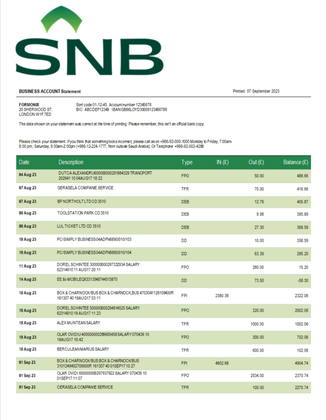 Modèle Word et PDF de déclaration d'entreprise de la Banque SNB